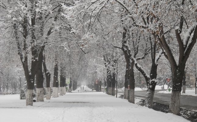 Duminică, sunt așteptate ninsori în Transilvania