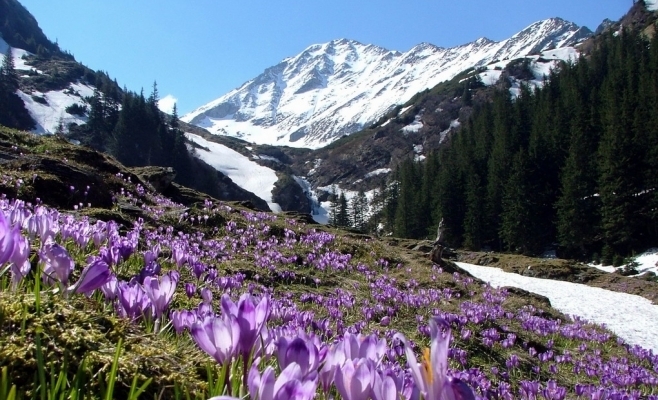 Cum va fi vremea de Paști, în Transilvania