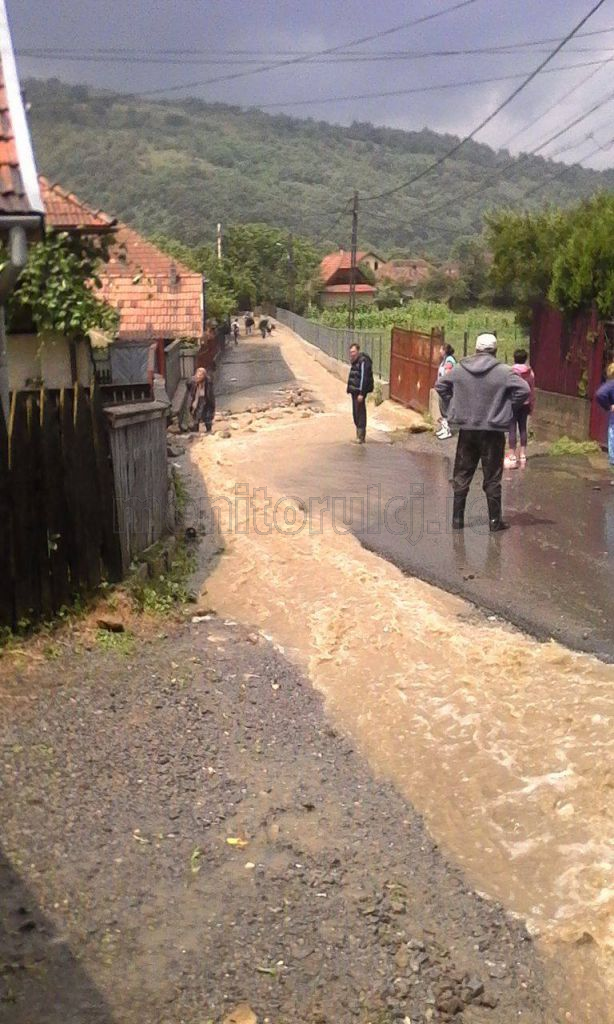 Sursa foto: Bianca Tămaş