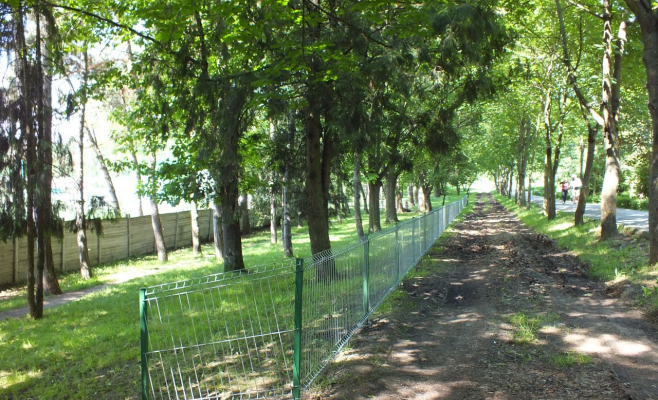 Primăria construieşte un spaţiu de joacă pentru câini la doi ani