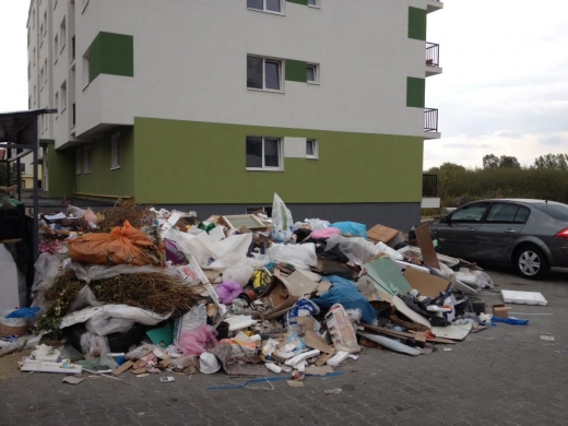 Mormane de gunoaie în cartierul Între Lacuri