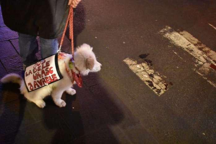 caine la protestul de la Cluj, foto Eliza Lucaciu