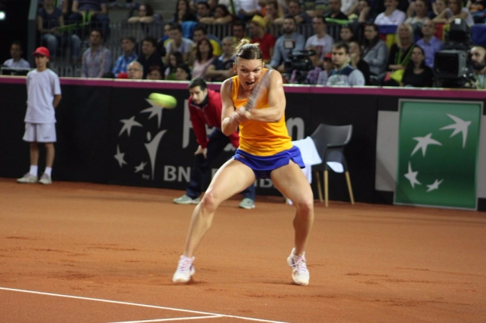 Harber, într-unul din meciurile din Fed Cup de la Cluj