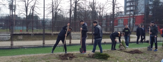 Studenţii de la UBB plantează puieţi în Parcul “Iuliu Haţieganu” 