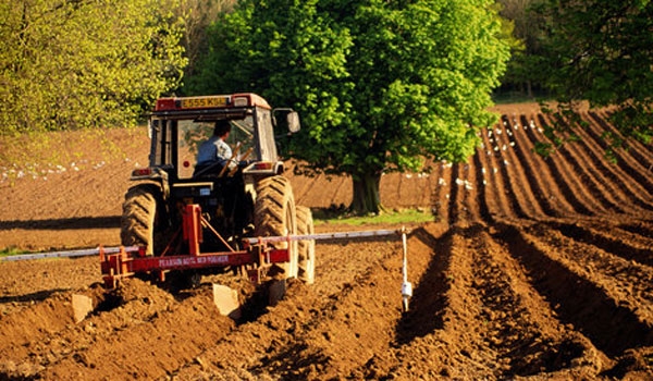 Afacerile nu sunt doar in exploatarea pamantului, ci si in prelucrarea primara a produselor