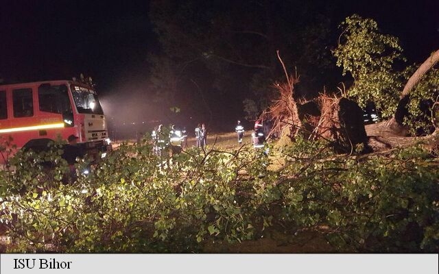 Ambulanţe din Cluj, solicitate la un CAMPING. UN MORT şi 16 RĂNIŢI, după ce FURTUNA A DOBORÂT COPACII peste corturi.