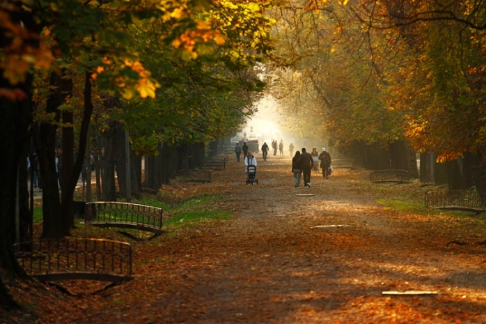 Sursă foto: https://www.campuscluj.ro/