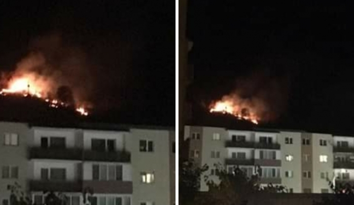 Incendiu in padurea Hoia. Foto: Radio Cluj