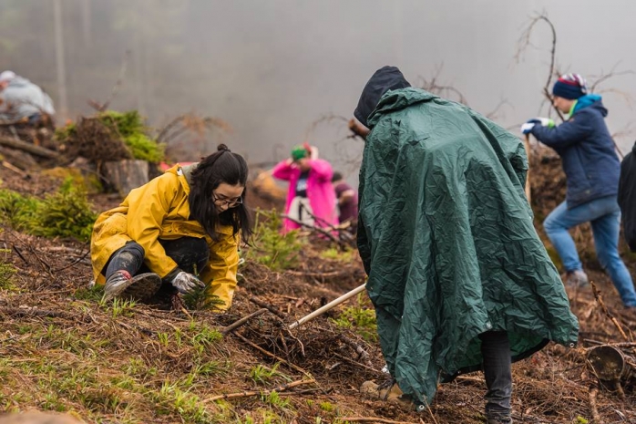 Membrii MOX și voluntari au plantat puieți la Valea Drăganului