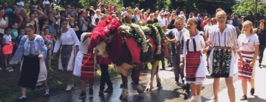 De Rusalii, clujenii „împănează” boul