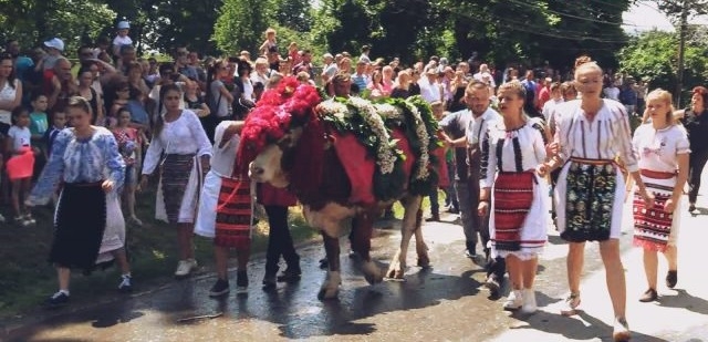 De Rusalii, clujenii „împănează” boul