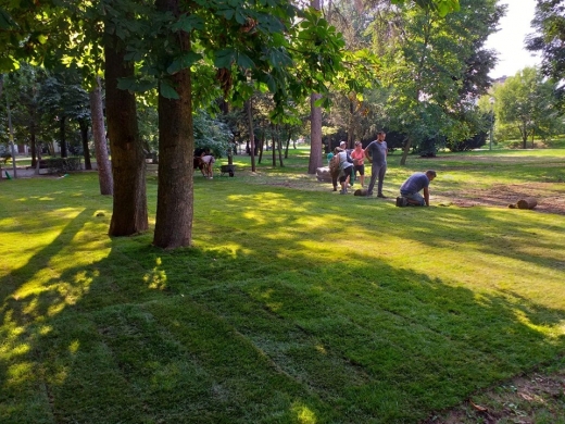 FOTO Parcul Central și Cluj Arena reînverzesc după UNTOLD, până la finalul lunii vor avea o altă față