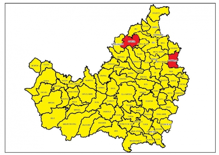 Răscoala de la Bobâlna! Ultimele fiefuri PSD din Cluj. După Diaconu, Sânmărtin a ales Dăncilă