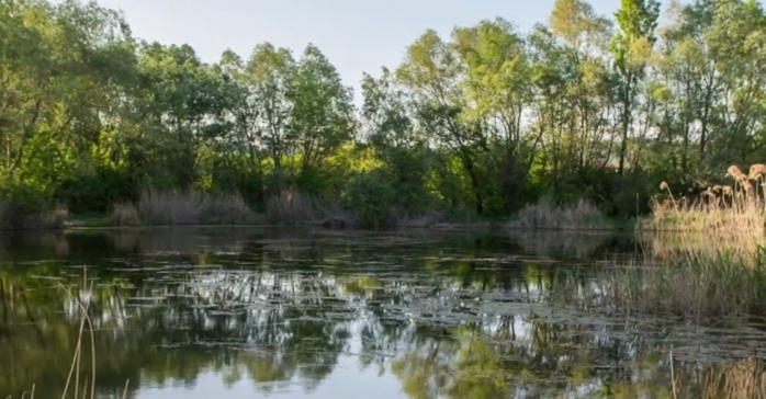 Clujenii nu se lasă! Cer acces liber în Parcul Est, propus de societatea civilă, încă de anul acesta, sursă foto: captură video Facebook SOS Parcul Est