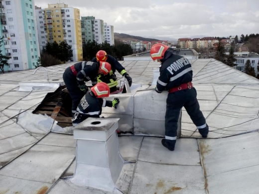 Flăcările și vântul puternic le-au dat mari bătăi de cap pompierilor clujeni, sursă foto: ISU Cluj