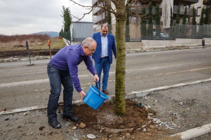 Pomii din Bună Ziua. Boc își toarnă cenușă în cap: „Sunt dispus să merg pe mâna clujenilor!”