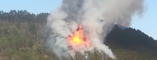 Incendiu de pădure lângă Nădășelu. Intervenția a durat aproape 10 ore