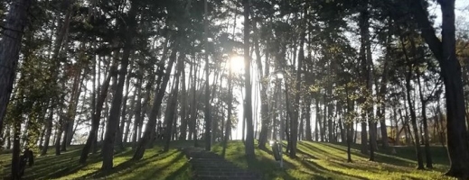 Senatul a dat undă verde ariilor naturale urbane. Se visează la (și) mai mult „verde” în Cluj, sursă foto: Facebook Adrian Dohotaru