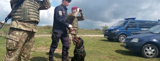 Colonia de rromi dintr-un sat de lângă Cluj, pusă sub carantină, este păzită de militari cu câini