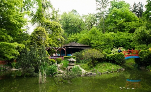 Se redeschid Parcul Iuliu Hațieganu, Grădina Botanică și cantinele UBB