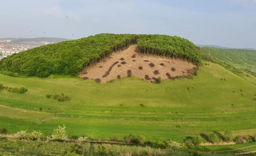 silvicultorii-clujeni-explica-ce-se-intampla-cu-padurea-de-la-luna-de-sus-nu-este-defrisare-ci-un-proces-de-regenerare, sursă foto: Facebook Ottmar Trașcă