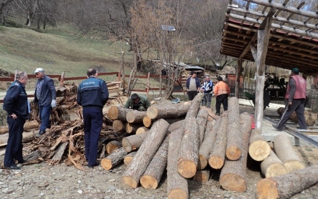 trei-barbati-retinuti-pentru-trei-arbori-taiati-ilegal-ce-au-gasit-politistii-la-locuintele-lor, foto: Arhivă