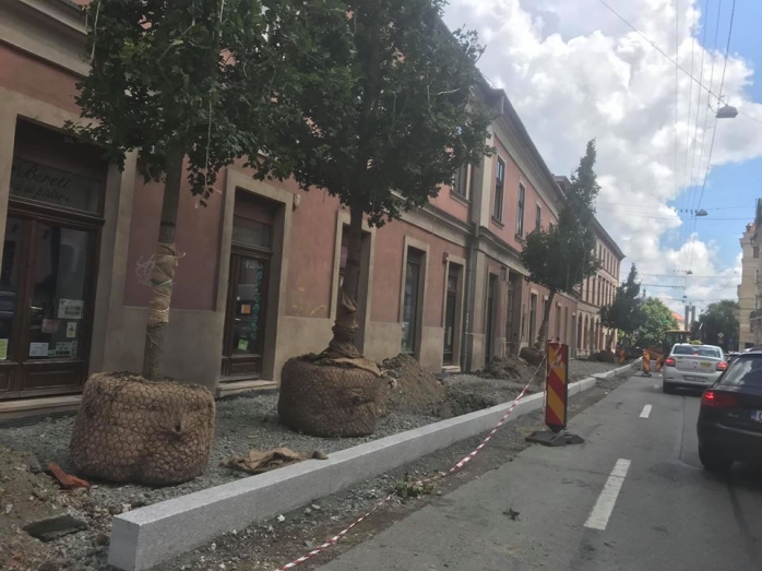 SURPRIZĂ plăcută în centrul Clujului. Ce a apărut pe strada Napoca?, foto: Facebook Mircea Crăciun 