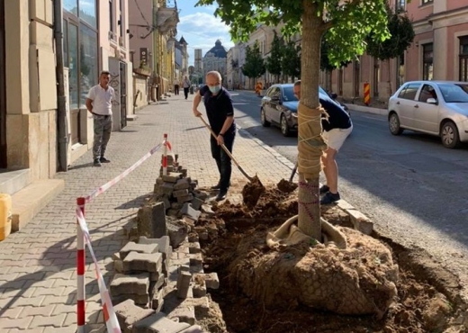 Când cu bâta, când cu zăhărelul! Emil Boc taxează întârzierile la lucrările din centrul Clujului. Ce se întâmplă pe Memorandumului?