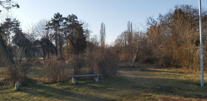 Ce se întâmplă cu Parcul Feroviarilor? Primarul Emil Boc speră la finanțare europeană, sursă foto: Raymond FÜSTÖS