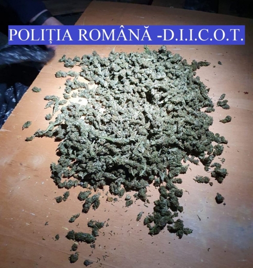 Peste 10 kg de CANNABIS confiscate la Cluj