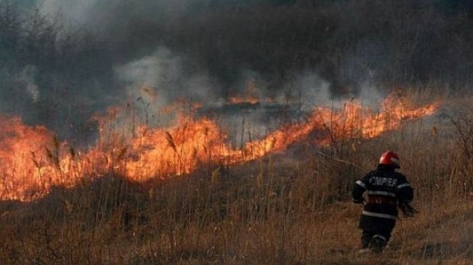 Incendiu VIOLENT de vegetație uscată!