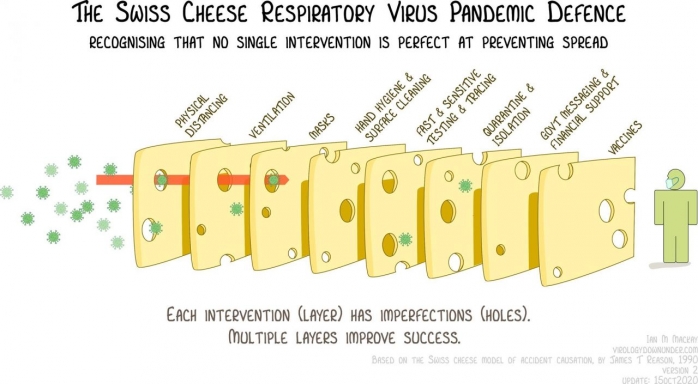  Modelul „cașcavalului elvețian“ în lupta împotriva coronavirusului