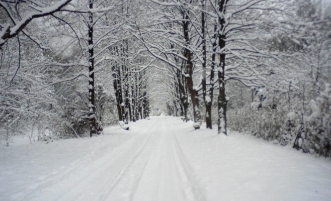 Vreme ca de iarnă la munte, în weekend. Meteorologii anunță zăpadă și vânt puternic