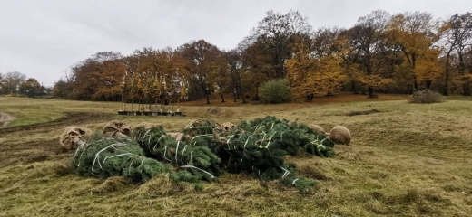 a-inceput-extinderea-parcului-etnografic-din-hoia-foto