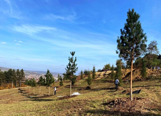 Extinderea Parcului Etnografic prinde contur. Au fost plantați primii arbori pe pajiștea învecinată - FOTO