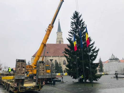 sarbatorile-vin-bradul-de-craciun-a-fost-amplasat-in-piata-unirii-foto