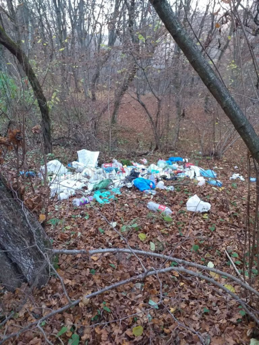 Hoia-Baciu, plină de gunoaie! Deșeurile sunt aruncate din mașini în pădure. „N-avem ce face altceva fără poliție locală. Le strângem.”FOTO