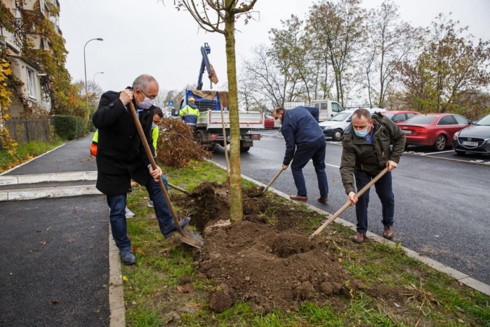 CLUJUL VERDE: Peste 1.000 de arbori plantați în 2020. Au început plantările în cartierul Între Lacuri