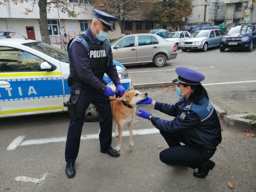 Poliția Animalelor este o structură nou înființată și foarte tentantă pentru tineri