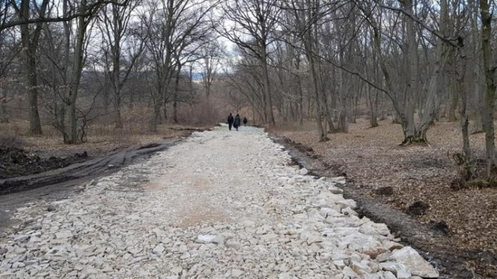 Pădurea Hoia Baciu, la un pas de asfaltare? Deja s-a turnaat pietriș pe unele drumuri. Sursă FOTO: Clujul Civic