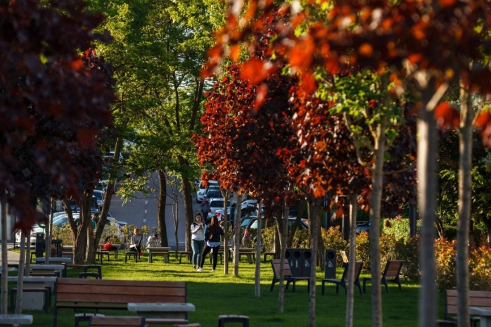 Clujul verde: Parcul Între Lacuri