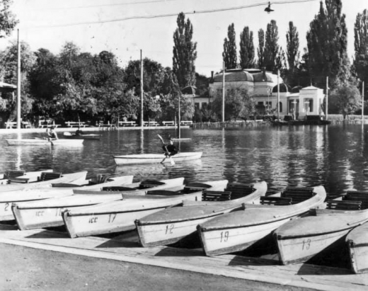 FOTO. Parcul Central, un colț de rai în anii '60. În loc de flamingo roz, clujenii vâsleau pe lac