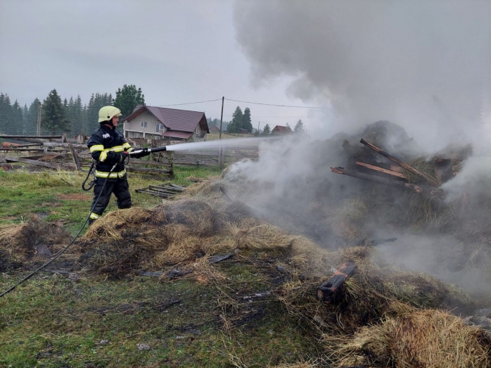 VIDEO. Vremea rea continuă să facă probleme în Cluj. Adăpost de animale, lovit de fulger.