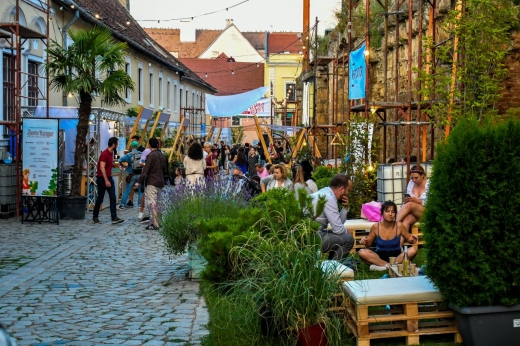 Piață de flori altfel pe strada Potaissa. Un colț de rai cu lavandă, flori de sezon și plante suculente. GALERIE FOTO