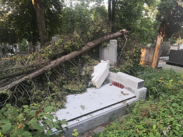 Furtuna de la Cluj a DISTRUS și MORMINTE! Cimitirul Central încă NU a fost curățat. FOTO