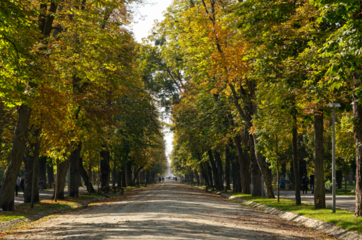 Cum va fi vremea în septembrie? Toamna aduce soare și câteva ploi la Cluj.