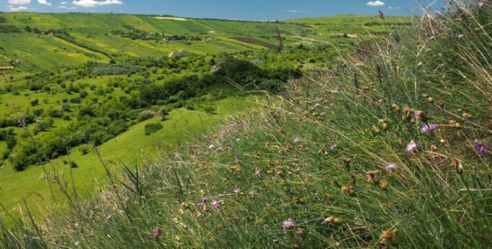 Rezervație naturală la doi pași de orașul Cluj-Napoca