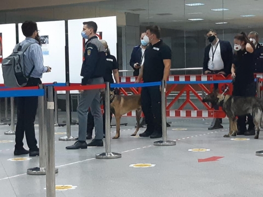 FOTO. Câinii care depistează COVID-19, „în misiune” pe Aeroportul Cluj