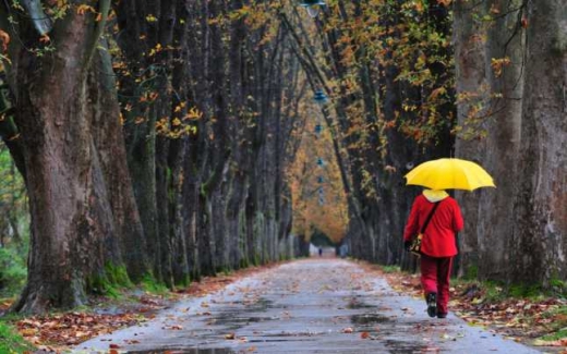 Se strică vremea! Vine FRIGUL și temperaturile ajung până la 2 grade