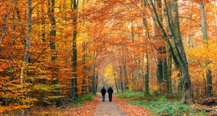 Scăpăm de frig și ploi în noiembrie? Prognoza meteo pentru următoarele patru săptămâni